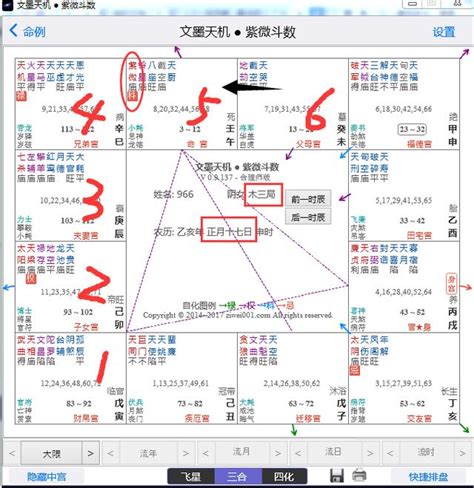 大林木三局|紫微斗數五行局 木三局之探究